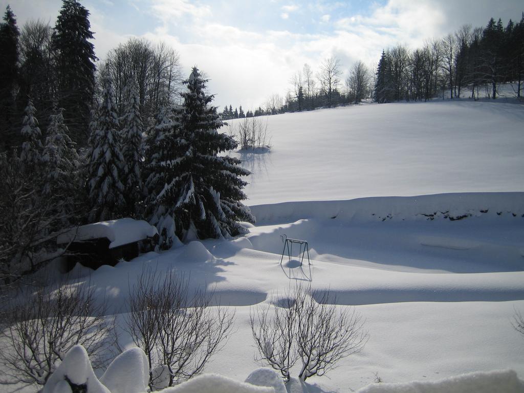 Chalet Lomy Villa Nové Město nad Metují Cameră foto